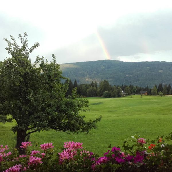 Balkonblick vom Moserhof im Lungau