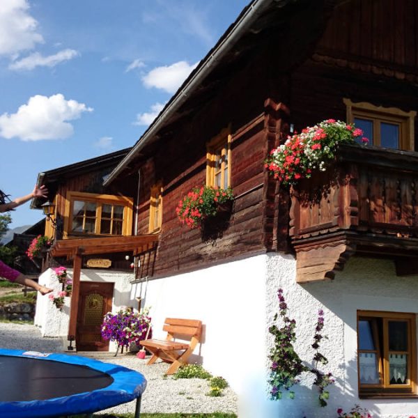 Kinder spielen am Moserhof